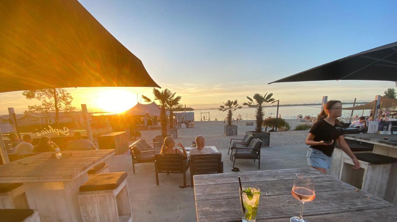 Green Villa: Beachfront Resort with Sea View Terrace and Pet-Friendly Garden Hulshorst Exterior photo